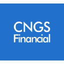 cngsfinancial.com.br