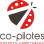 CO-PILOTES AUDIT logo
