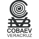 cobaev.edu.mx