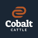 cobalt cattle company