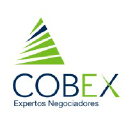 cobex.com.mx