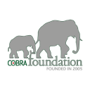 cobra-foundation.org.uk