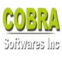 Cobra Softwares Pvt Ltd