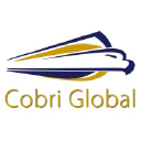 cobriglobal.com
