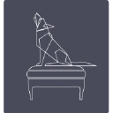 coco wolf ltd