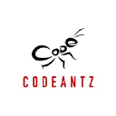 codeantz.com