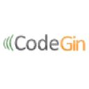 codegin.com