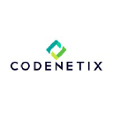 codenetix.com
