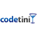 codetini.com