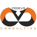 codevo-consulting.com