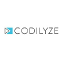 Codilyze