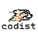 codist-ai.com