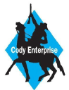 codyenterprise.com