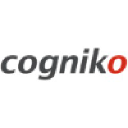 Cogniko LLC