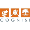 cognisi.co.uk
