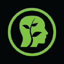 CogniTea