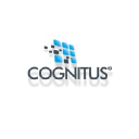 cognitus-erp.com.br