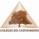 colegiodocastanheiro.net