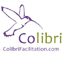 colibrifacilitation.com