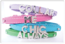 My Personalized Dog Collar