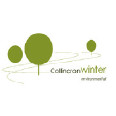 collingtonwinter.com