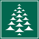 collins pine logo