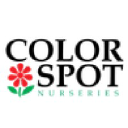 colorspot.com