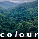 Colour logo