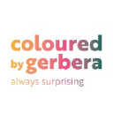 colouredbygerbera.com