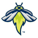 columbiafireflies.com