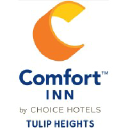 comfortinntulipheights.in