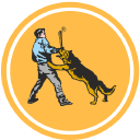 commandokennels.com