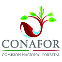 conafor.gob.mx