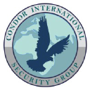 condor-security.com