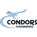 condorsswimming.com