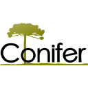 conifer.cl