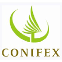 Conifex