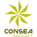 conseaexecutivesearch.com