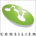 consilien.com