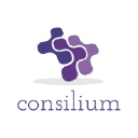 Consilium Systems in Elioplus