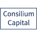 consiliumcapital.co.uk