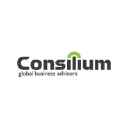 Consilium Global Business Advisors