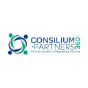 Consilium Partners360 Inc