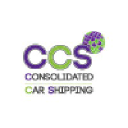consolidatedcarshipping.com