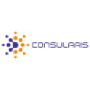 Consularis Technology Solutions on Elioplus