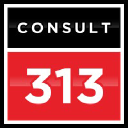 consult313.com