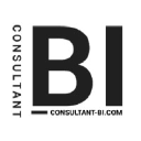 consultant-bi.com