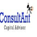consultantcapital.in