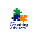 consultingadvisers.com