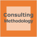 Consultingmethodology
